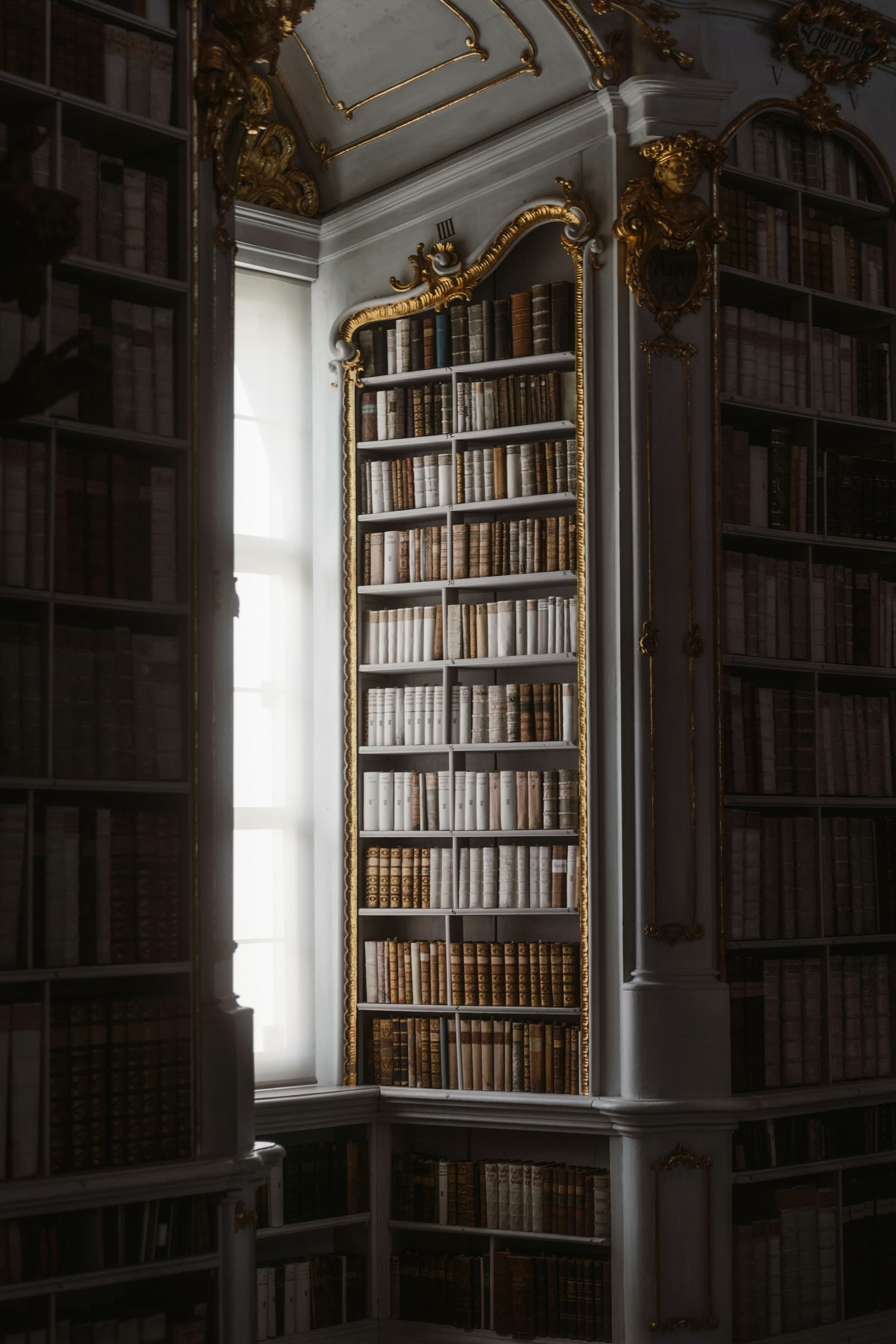 Estante de biblioteca iluminada pela luz de uma janela alta